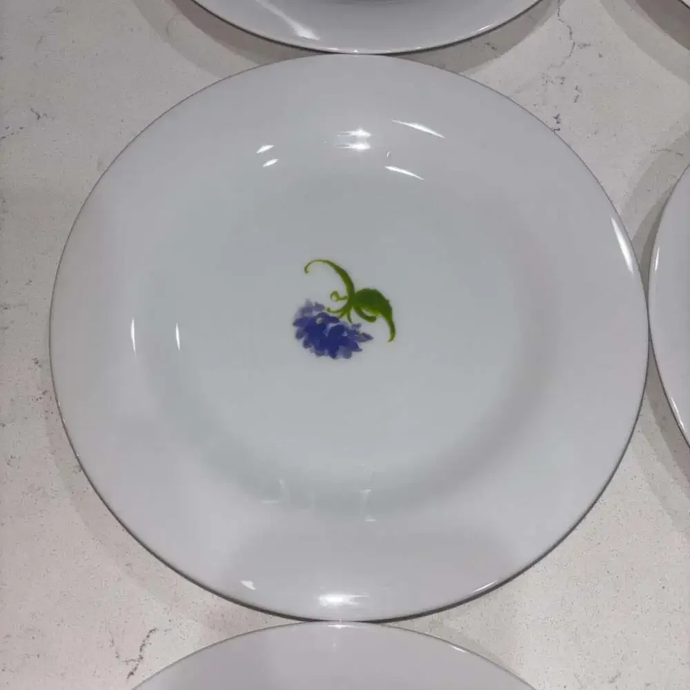 Pottery Barn Bloom Set of 6 Mixed Floral Salad Plates 8.5”